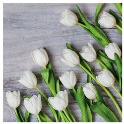 SERWETKI PAPIEROWE WIOSENNE TULIPANY KWIATY 20SZT.