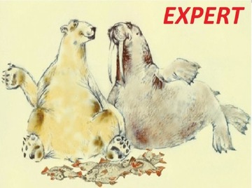 POLARIS II 1000 ЛЕДОВАЯ КАТУШКА