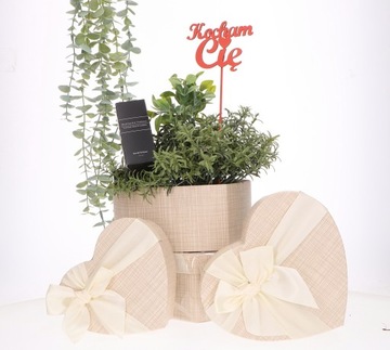 Flowerbox ozdobne pudełko na kwiaty serce beżowe 3szt
