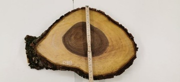 Срез грецкого ореха после высыхания 42х30см Столешница