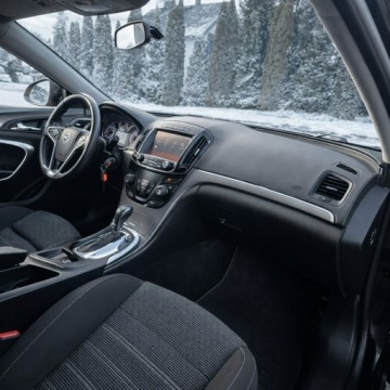 Opel Insignia I Country Tourer 2.0 CDTI Ecotec 163KM 2015 Opel Insignia A 2.0 163KM CDTI Automatik Edition, zdjęcie 19