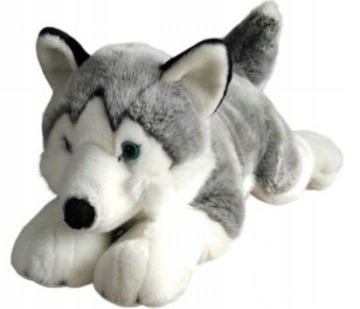Husky 62 cm Plyšák hračka pro děti, plyšová hračka, vysoká kvalita, pěkné