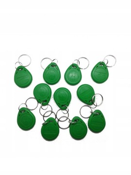 RFID-БРЕЛОК УНИКАЛЬНЫЙ 125 кГц EM4100 G x100