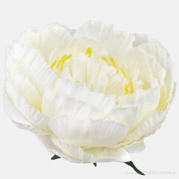 12 X PEONIA DUŻA GŁÓWKA 16 cm WYROBOWA żółty jasny 12 szt. sztuczne kwiaty