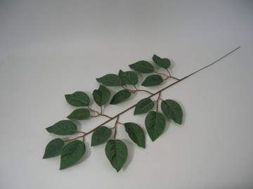 M2LRO ЛИСТ РОЗЫ СПРЕЛЬЖ ЛИСТ РОЗЫ МАТОВЫЕ ЛИСТЬЯ