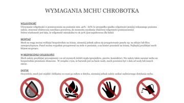 Олений мох, СМЕСЬ 2-х ПРЕМИАЛЬНЫХ ЦВЕТОВ