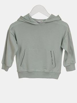 Bluza dziecięca chłopięca dresowa pistacjowy 116