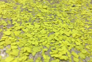 Płatki dekoracyjne do posadzek 1KG Żółte neon