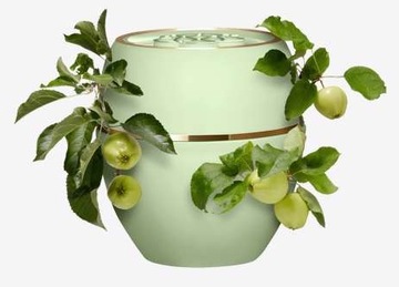 ОРИФЛЭЙМ Регенерирующий бальзам для губ, локтей, стоп, бровей.