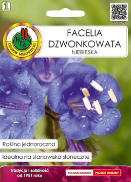 PNOS NASIONA KWIATÓW FACELIA DZWONKOWATA NIEBIESKA 0,5G