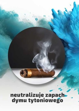 NANOAUTO SMOKE REMOVER Нейтрализатор сигаретного дыма 100мл