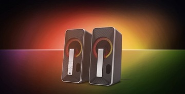 КОМПЬЮТЕРНЫЕ КОЛОНКИ GENESIS HELIUM 100BT 2.0 RGB