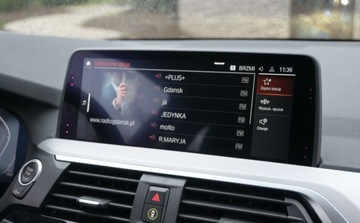 BMW X3 G01 SUV 2.0 18d 150KM 2020 BMW X3 2,0D 150 KM X-LINE Full Led Nawigacja 2.0 Diesel 150KM, zdjęcie 31