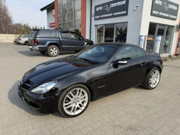 Mercedes SLK R171 Roadster 1.8 (200 Kompressor) 163KM 2007 Mercedes SLK 200 Cabrio, zdjęcie 10