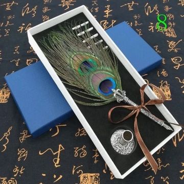 European retro students use Fountain pen peacock feathers dip ink pen set