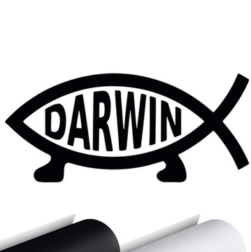 NAKLEJKA na samochód DARWIN Ryba Ewolucja 15x7