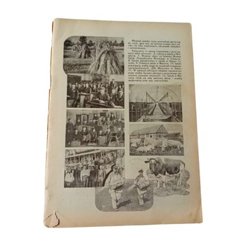 Miesięcznik Plon, nr 12 - grudzień 1937. Rok IV.