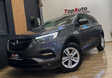 Opel 2019 Opel Grandland X 130 KM manual BEZWYPADKOWY gwarancja ZAREJESTROWANY