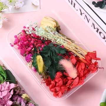 СУШЕНЫЕ ЦВЕТЫ ДЛЯ СВЕЧ И РУКОВОДСТВ - НАТУРАЛЬНЫЕ УКРАШЕНИЯ