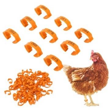 КОЛЬЦЕВЫЕ МАРКЕРЫ ДЛЯ ГУСЕЙ-КУР 100 ШТ.