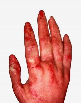 SZTUCZNA DŁOŃ Z KOŚCIĄ HALLOWEEN UCIĘTA KOŚĆ