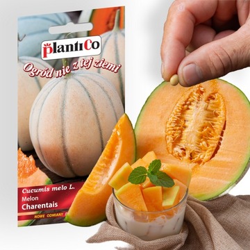 Nasiona warzyw MELON CHARENTAIS 1g. nasiona PlantiCo