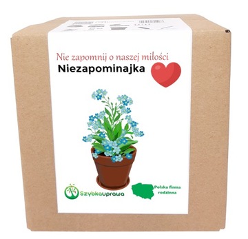 Zestaw kwiaty niezapominajka Walentynki rocznica
