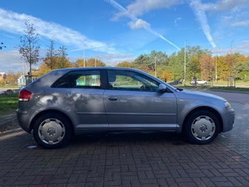 Audi A3 8P Hatchback 3d 1.6 102KM 2007 Audi A3 Attraction 1.6 Benzyna, zdjęcie 6