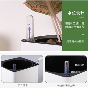 2 индикатора уровня воды. Горшечные растения.