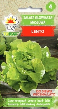 Sałata masłowa całoroczna Lento - nasiona 1g