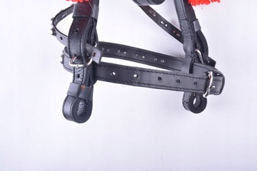 УЗДЕЦКА С КОЖАНОЙ РЕГУЛЬНОЙ ЖГУТОЙ В ПОЛНОМ И РАСШИРЕННОМ ПОЛНОМ РАЗМЕРЕ