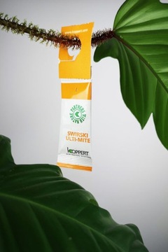 5x SWIRSKI Ulti-Mite zwalcza WCIORNIASTKI i MĄCZLIKI | BIO ROZTOCZA