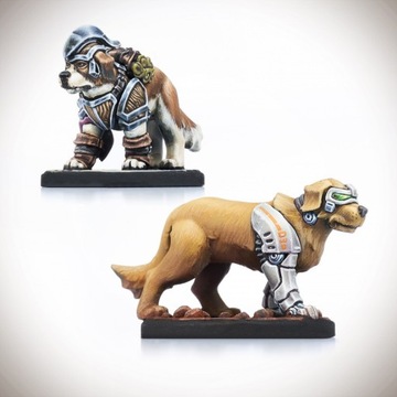 Животные-компаньоны Dungeons and Dragons