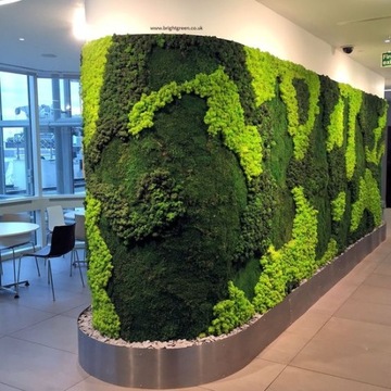 Mech CHROBOTEK RENIFEROWY 200g spring green