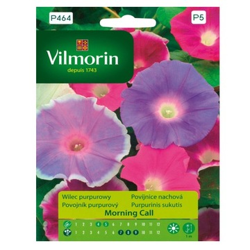 Wilec purpurowy Morning Call nasiona Vilmorin