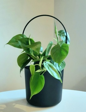 ОПОРА ДЛЯ ЦВЕТОЧНОЙ ПЕРГОЛЫ КРУГЛАЯ 1 ОБОДКА 25,5 см