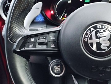 Alfa Romeo 2022 Alfa Romeo Tonale Alfa Romeo Tonale Editione Speziale 1.5 Benzyna 130KM, zdjęcie 22