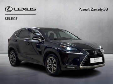Lexus NX I SUV Facelifting 300 238KM 2019 Lexus NX 300 Prestige AWD I (2014-2021) Lexus NX 3, zdjęcie 7