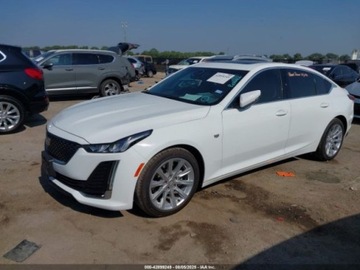 Cadillac 2022 Cadillac CT5 Luxury 2022 2.0l 2.0 Benzyna 235KM, zdjęcie 1