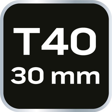 Биты TORX T40 x 30 мм, S2 x 2 шт.