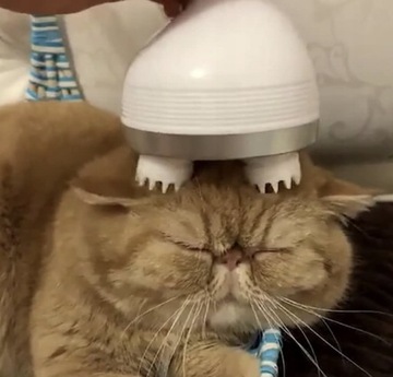 MASAŻER GŁOWY DLA KOTA ELEKTRYCZNY ZABAWKA KOT USB