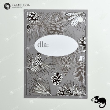 Рождественский ПОДАРОЧНЫЙ БИЛЕТ Рождественская открытка СОСНА И ШИШКИ 7x10 x1