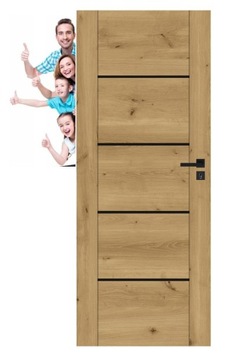 Drzwi PEGASUS Windoor CZARNE WSTAWKI PRODUCENT