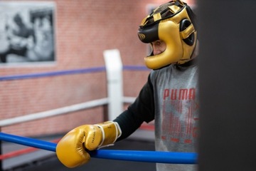 Боксерские перчатки TIGER GOLD L, 10 унций