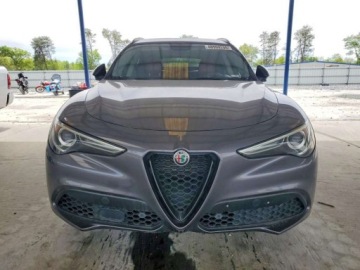 Alfa Romeo Stelvio 2019 Alfa Romeo Stelvio 2019 ALFA ROMEO STELVIO 2.0 Benzyna 280KM, zdjęcie 1