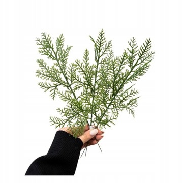 GAŁĄZKA ASPARAGUS DO STROIKA REALISTYCZNA CHOINKA SZTUCZNA DEKORACJA 3 SZT