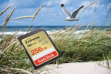 Карта памяти SANDISK Extreme SDXC 256 ГБ