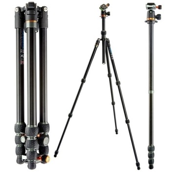 3 LEGGED THING Punks Anarchy Travis BL.+ Głowica