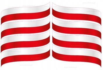 NAKLEJKA FLAGA POLSKI 8 szt.lewa i prawa odblask