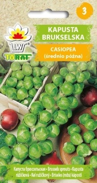 Kapusta Brukselska Casiopea 1g TORAF